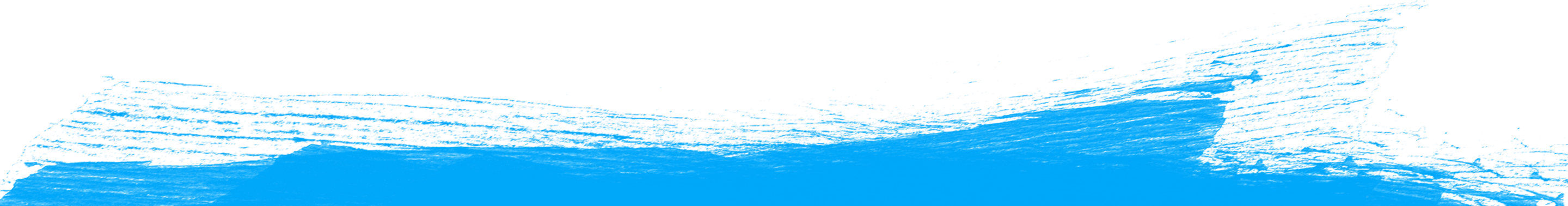brush